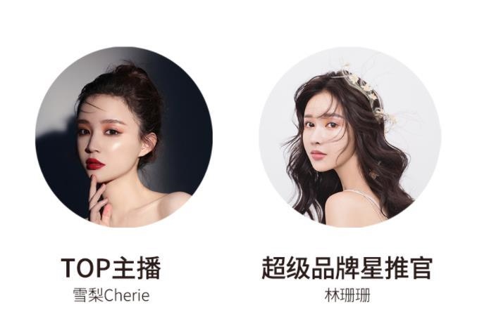 宸帆電商官網(wǎng)截圖。