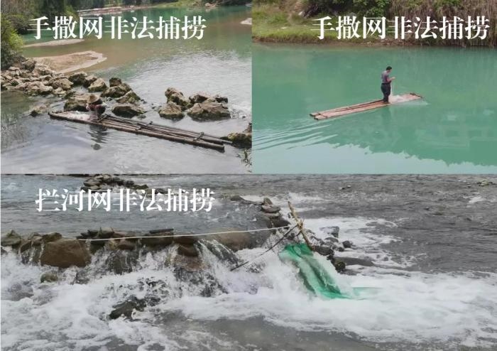 2021年9—10月，前期暗查發(fā)現(xiàn)，保護(hù)區(qū)核心區(qū)內(nèi)非法捕撈行為十分猖獗