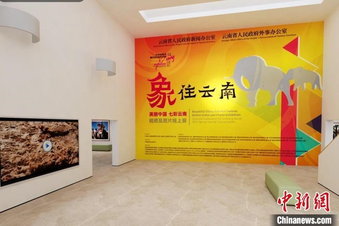 圖為“象”往云南——美麗中國(guó) 七彩云南視頻及圖片線上展截圖?！『h(yuǎn)航 攝