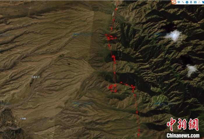 圖為雪豹故地重游來到放歸地的足跡。　內(nèi)蒙古賀蘭山國家級自然保護(hù)區(qū)供圖