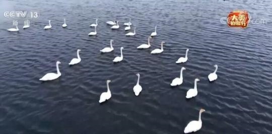 點(diǎn)擊進(jìn)入下一頁(yè)