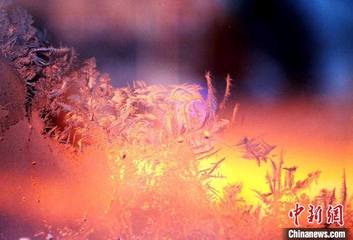 迎著光亮，冰窗花絢麗多姿?！O書程 攝