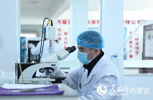 內(nèi)蒙古中農(nóng)興安種牛科技有限公司落戶科右中旗，為肉牛產(chǎn)業(yè)發(fā)展提供了優(yōu)質(zhì)的種源保障。白俊華攝