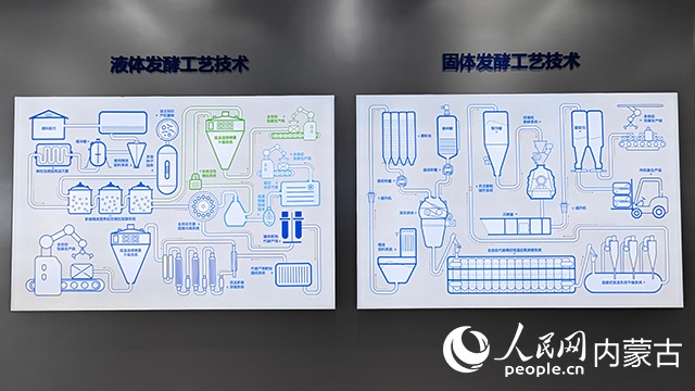 科拓生物工藝技術(shù)展示。人民網(wǎng)記者 張雪冬攝