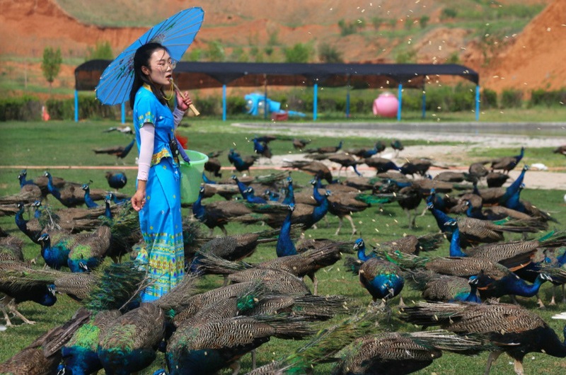 1595738296192832.jpg 1595736766680871.jpg