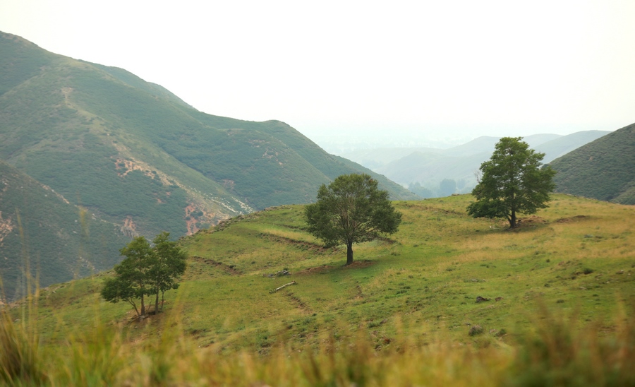 1598763601339954.jpg 7O5A3426.JPG