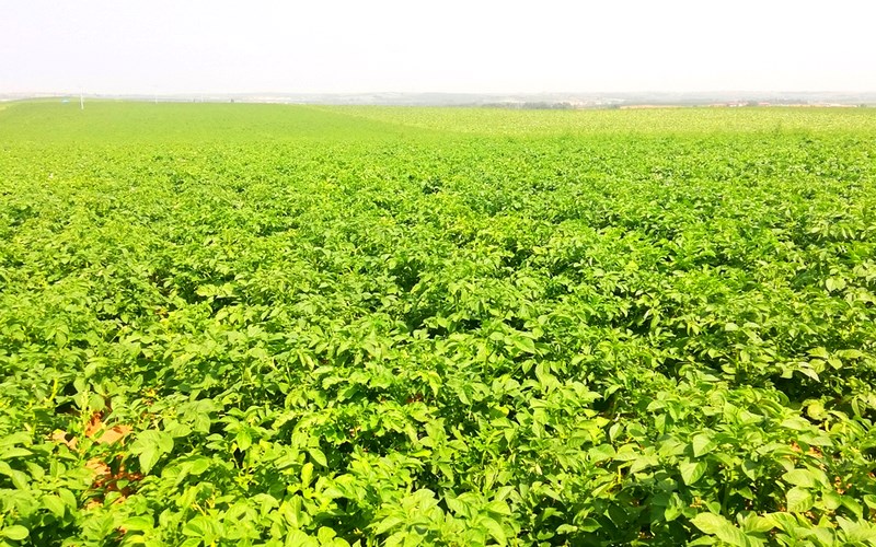 1629103093123515.png 圖片9.png