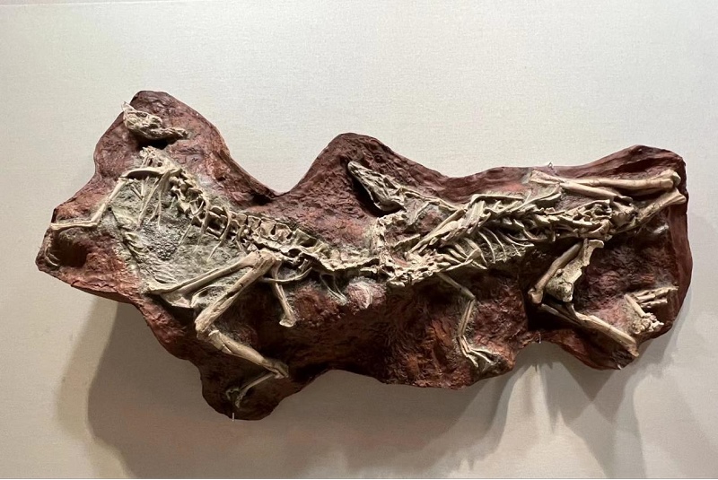 1648200672180432.png 圖片2.png