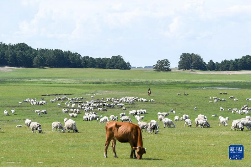 1656664658640485.jpg 00300572900_15214735_副本.jpg