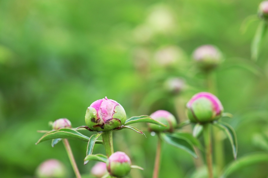 1684937937120841.jpg 7O5A3142.jpg