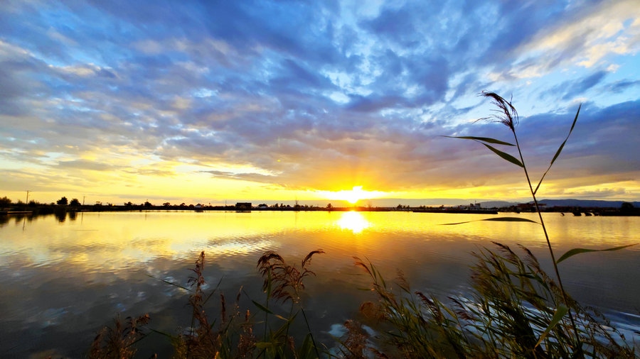 1692851529113018.jpg 微信圖片_20230824123045_副本.jpg