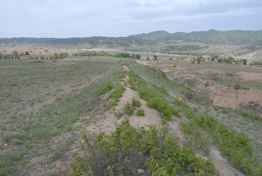 1701183911463753.png 圖片8.png