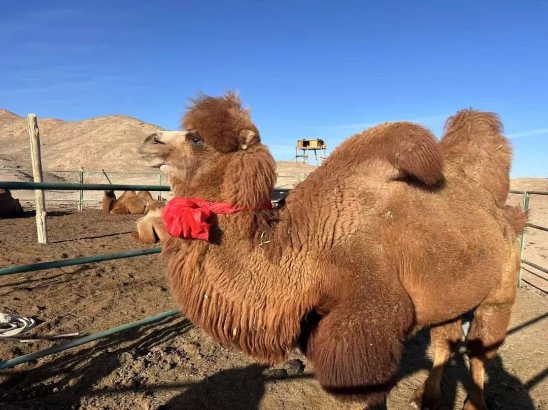 1732793572115226.jpeg 640.jpeg