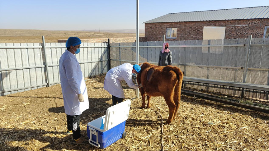 1736740150187188.png 01e87609dc7bf9a79d080c384c81fa53.png