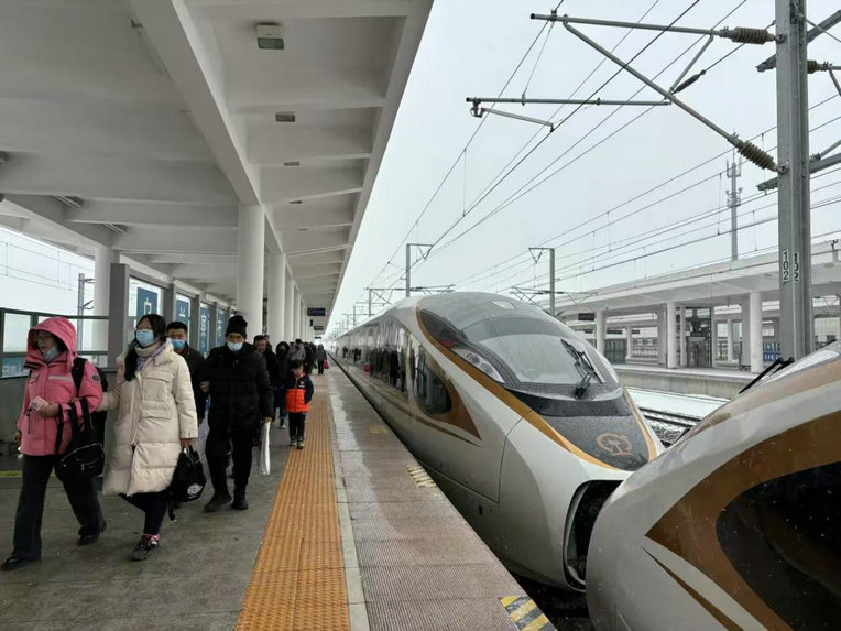 1739762017943859.jpg 頓頓2.jpg