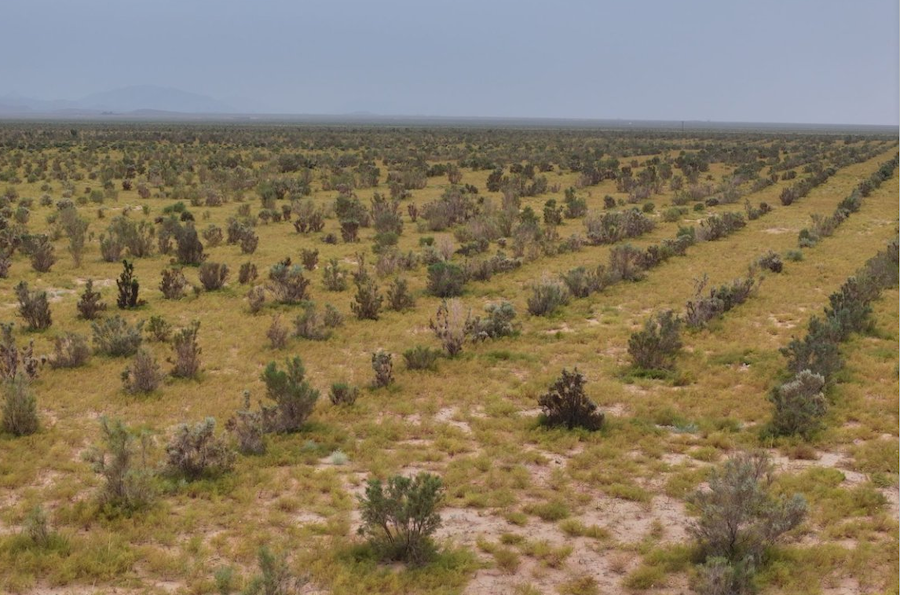 1757776591555023.png 圖片15.png