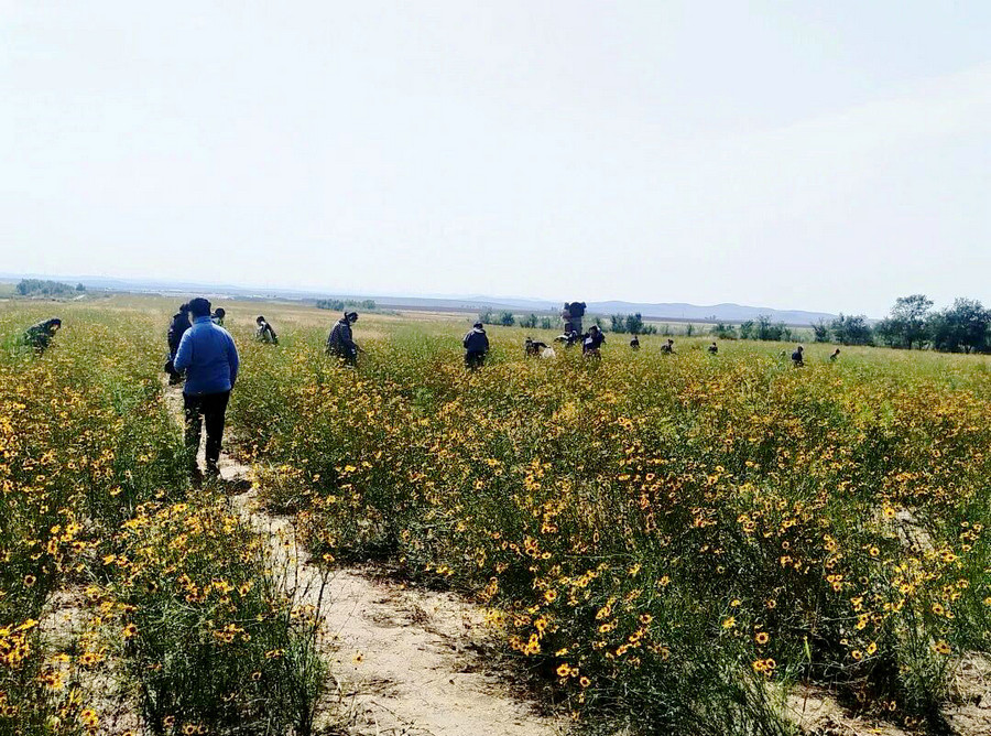 1758451694711788.jpg 184413_038.jpg