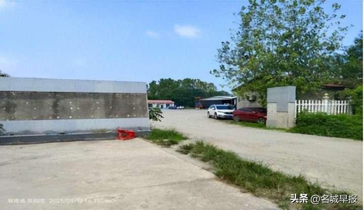 1758884911107174.jpeg 生豬4.jpeg