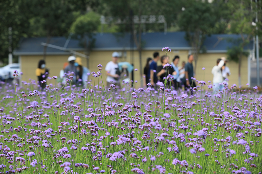 1762221963673834.jpg 7O5A8078.jpg