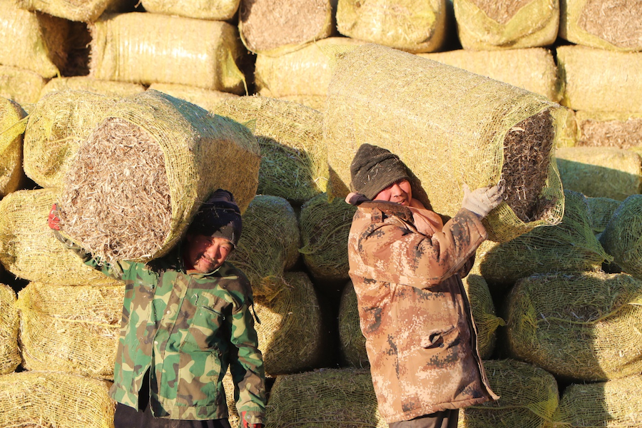 1763777121458675.png 圖片1.png