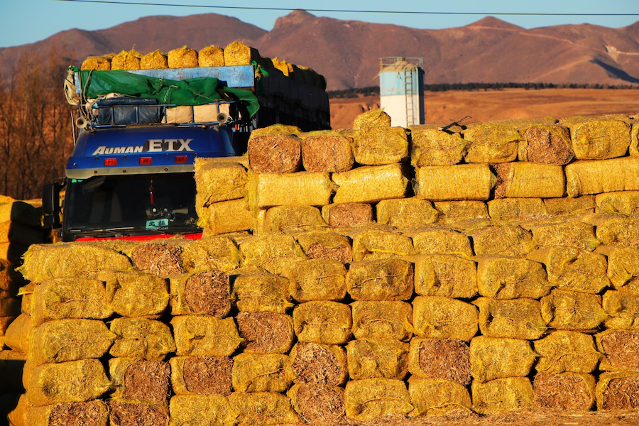 1763777151123165.png 圖片2.png