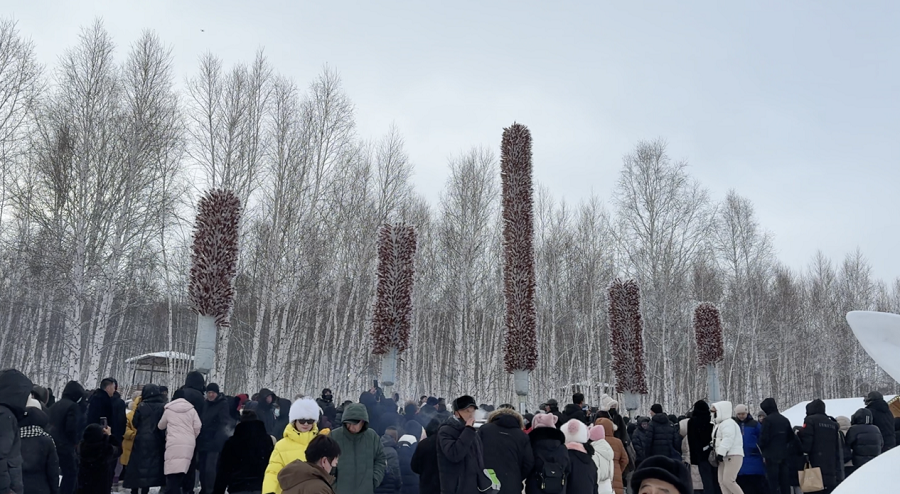 1765156166671295.png 01e87609dc7bf9a79d080c384c81fa53.png