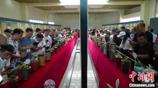 圖為活動(dòng)現(xiàn)場(chǎng)。 云南省委臺(tái)辦供圖