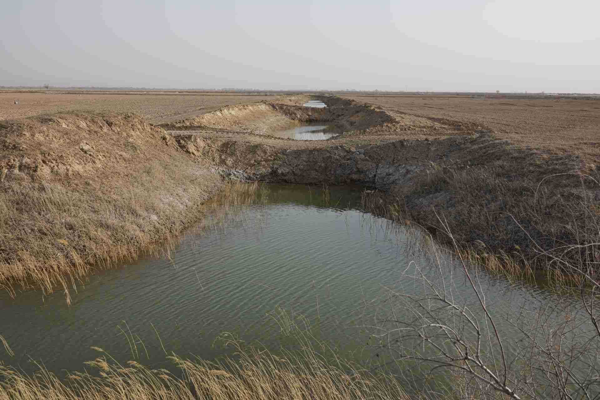 堵塞的排堿渠。 人民網(wǎng)記者 游天燚攝