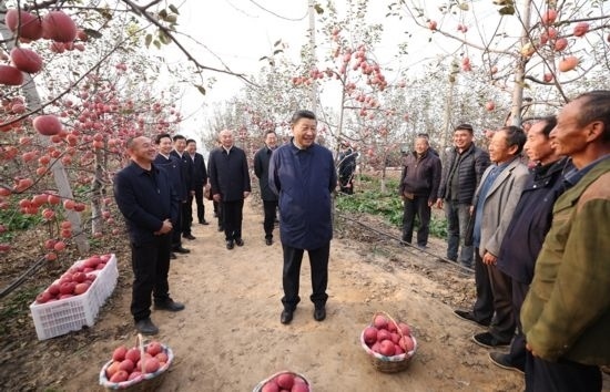 2022年10月26日，習(xí)近平總書記在陜西省延安市安塞區(qū)高橋鎮(zhèn)南溝村蘋果園同老鄉(xiāng)們親切交流。