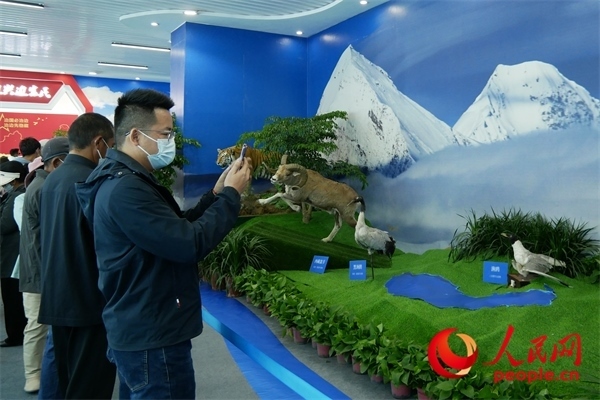 6月17日，觀眾正在觀展。人民網(wǎng) 韋衍行攝