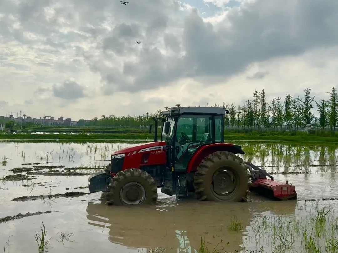 浙江省金華市東陽(yáng)市城東街道寀盧村的一臺(tái)無(wú)人駕駛耕地機(jī)。靜玄 攝