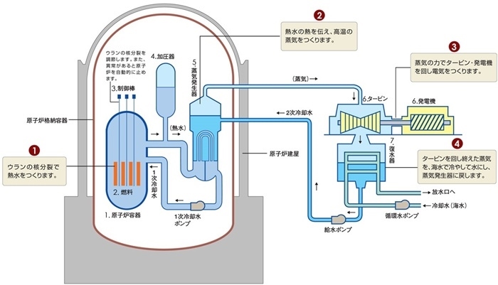 核電站運作原理圖。通常的核電站排水未直接接觸核燃料。（圖片來源：日本北海道電力株式會社網(wǎng)站）