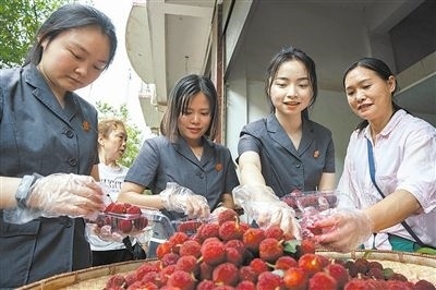 志愿者和村民一起將摘下的楊梅裝進(jìn)食品盒里。