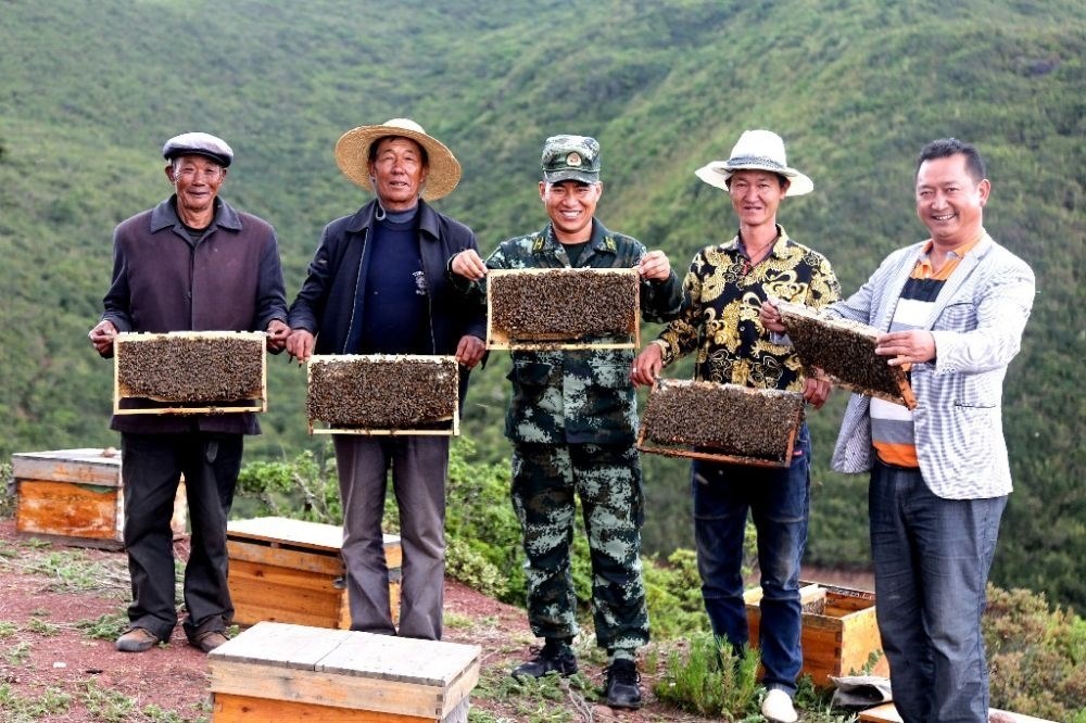 ↑武警四川總隊涼山支隊精準幫扶昭覺縣梭梭拉打村發(fā)展養(yǎng)蜂產(chǎn)業(yè)，總隊駐村扶貧干部布哈（中）和村民一同展示豐收成果（2019年6月12日攝）。新華社發(fā)（楊劍 攝）