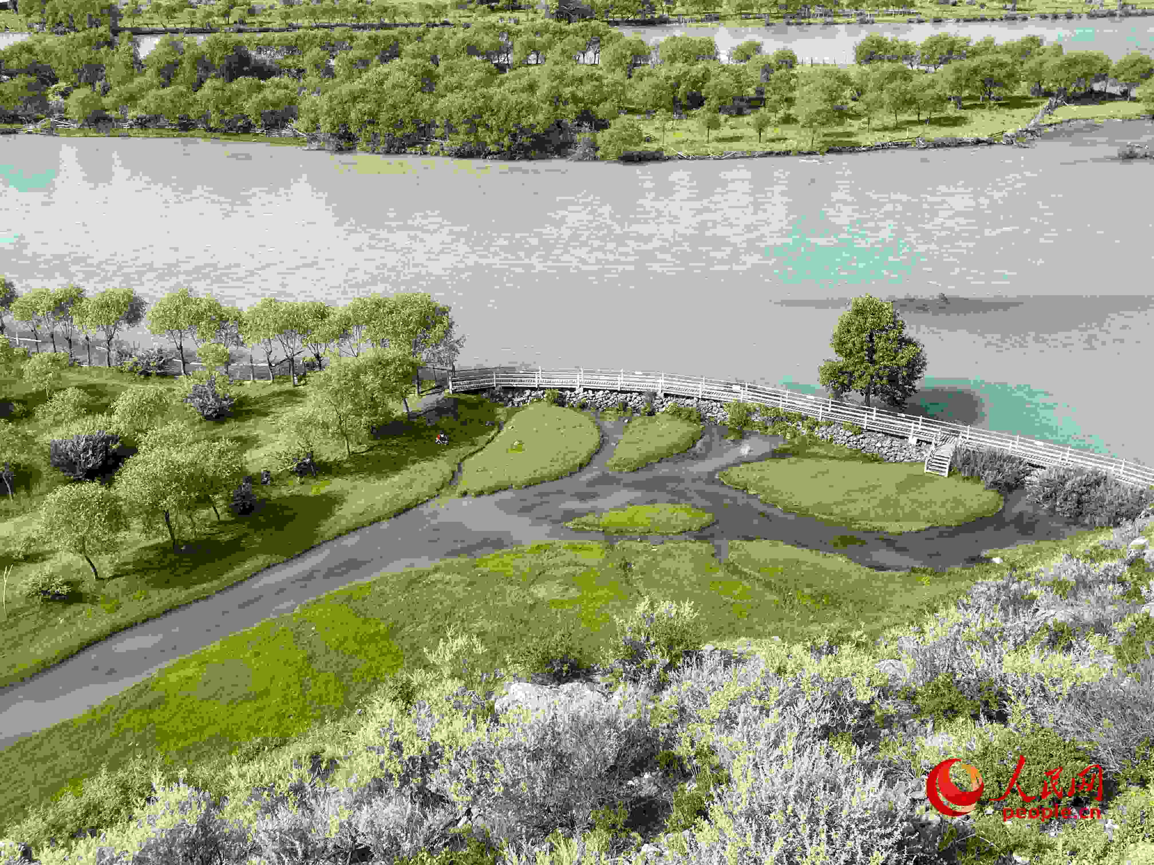 夏日的雅尼國(guó)家濕地公園生機(jī)盎然，如詩(shī)如畫。人民網(wǎng) 周靜圓攝