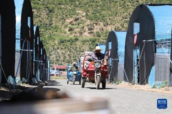 7月29日，農(nóng)戶在卓尼縣納浪鎮(zhèn)納浪村黑木耳種植基地勞作。