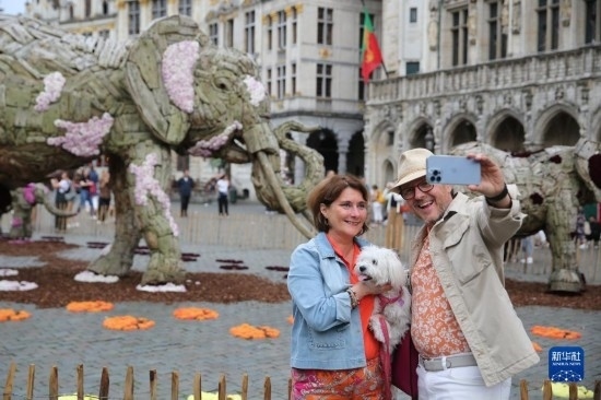 8月11日，觀眾在比利時(shí)布魯塞爾“鮮花時(shí)光”展覽上拍照。新華社記者 趙丁喆攝