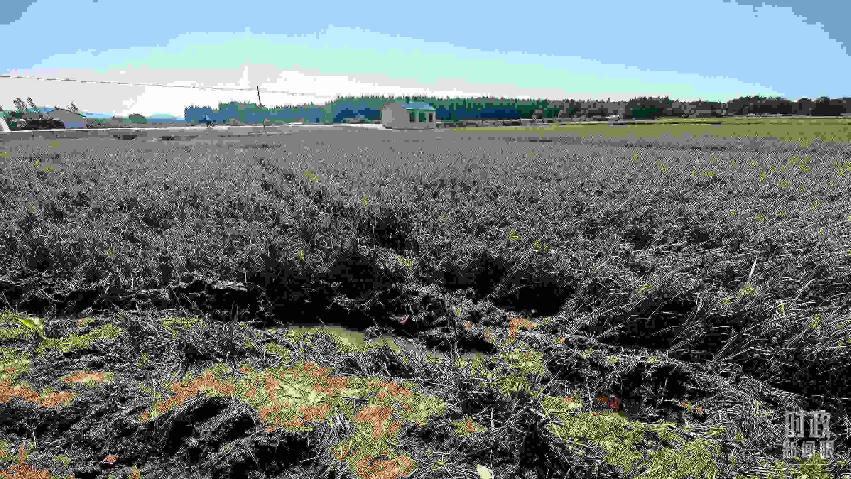 △圖為龍王廟村在洪災(zāi)中受損的農(nóng)田。（總臺(tái)央視記者史偉拍攝）