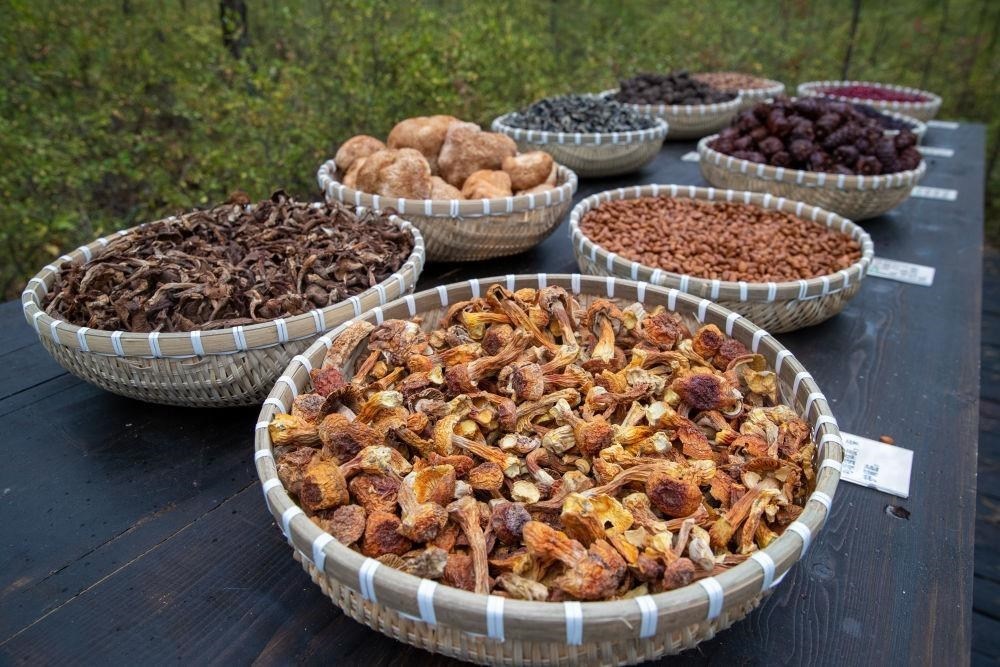 △近日，漠河市北極村一景區(qū)展示的林下產(chǎn)品。