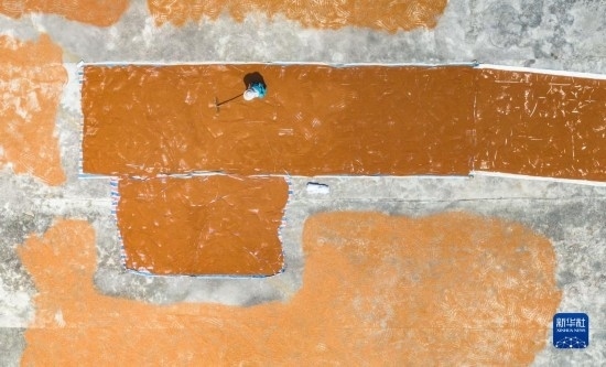 9月16日，農(nóng)民在貴州省安順市西秀區(qū)大西橋鎮(zhèn)吉昌村晾曬高粱（無(wú)人機(jī)照片）。