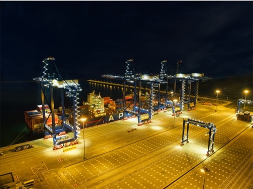 萊基港實行7×24小時裝卸作業(yè)機制。受訪者供圖