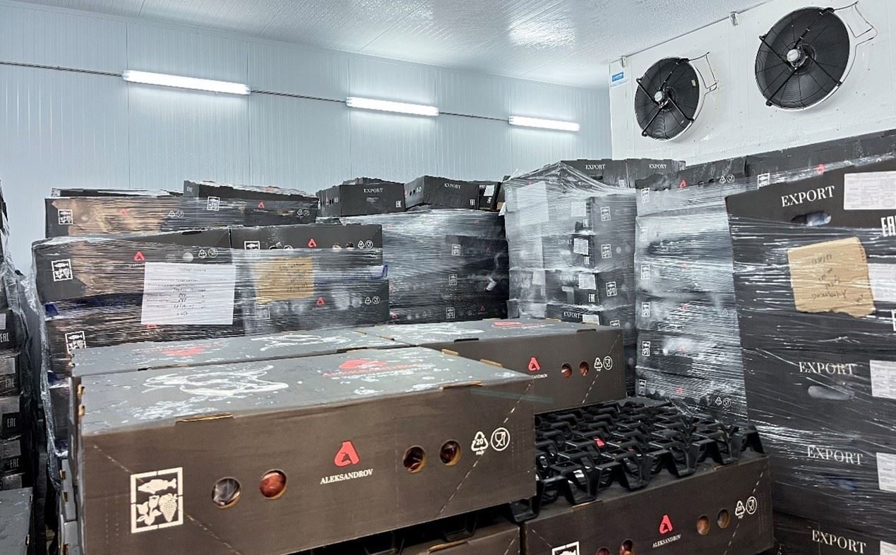 恒溫冷庫中，包裝好的牛肉等待發(fā)往中國。人民網(wǎng)記者 朱虹攝