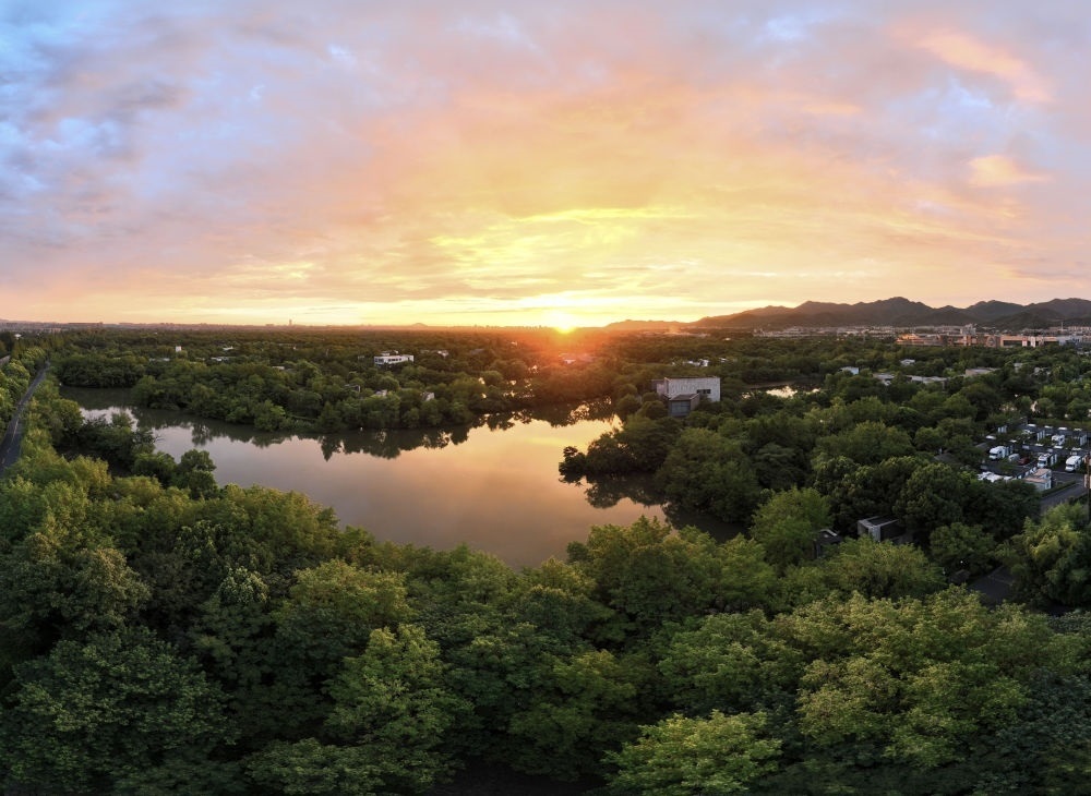 杭州西溪濕地日出景觀。