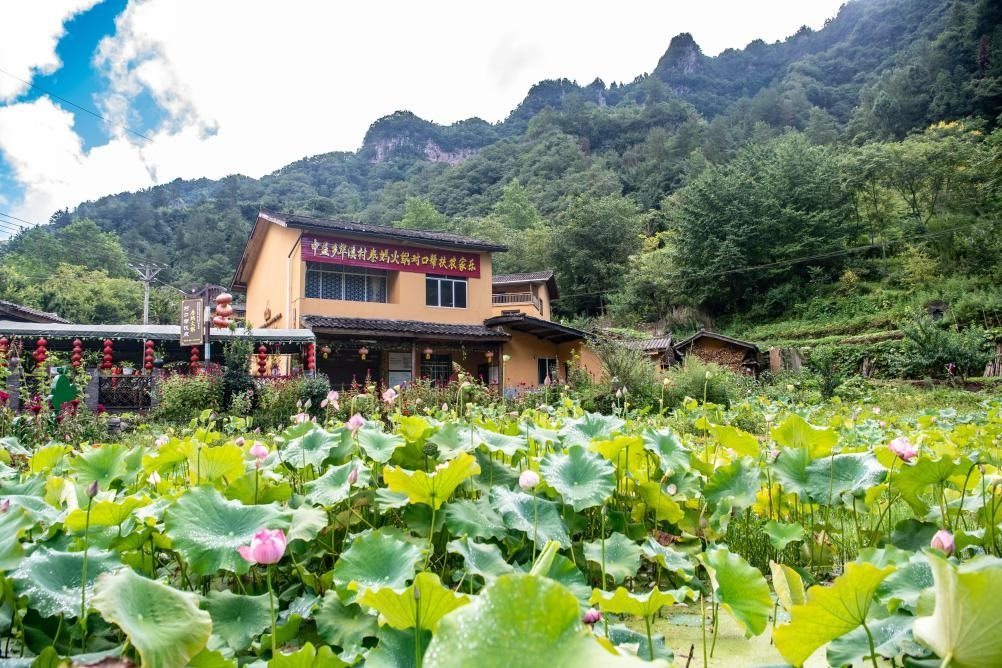 這是8月28日拍攝的華溪村村民開設(shè)的農(nóng)家樂外景。新華社記者 唐奕 攝