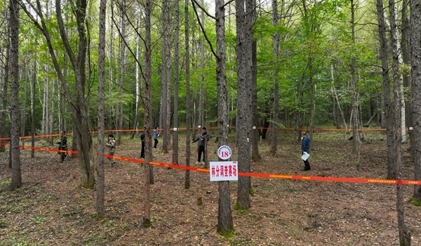 競(jìng)賽現(xiàn)場(chǎng)。圖片來源：國(guó)家林業(yè)和草原局