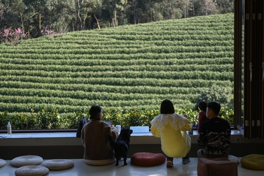 游客在浙江省安吉縣黃杜村萬畝茶園邊的咖啡館休閑（2023年2月21日攝）。