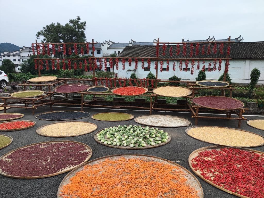 近日，江西省上饒市婺源縣秋口鎮(zhèn)王村村民晾曬的農(nóng)作物。新華社記者 劉佳敏 攝