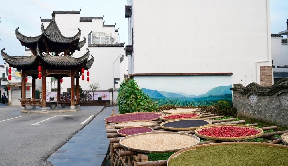 近日拍攝的江西省上饒市婺源縣秋口鎮(zhèn)王村石門(mén)自然村曬秋場(chǎng)景。新華社記者 胡晨歡 攝