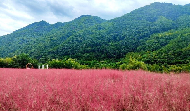 寶成線鳳縣境內(nèi)的路邊。