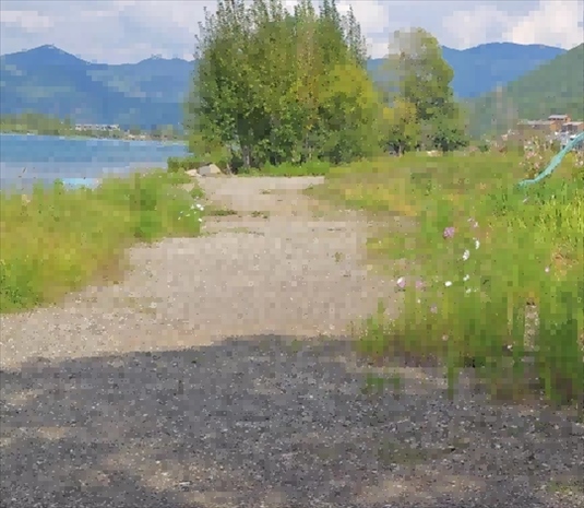 王軍所說被填區(qū)域。 人民網(wǎng)記者 黃鈺攝